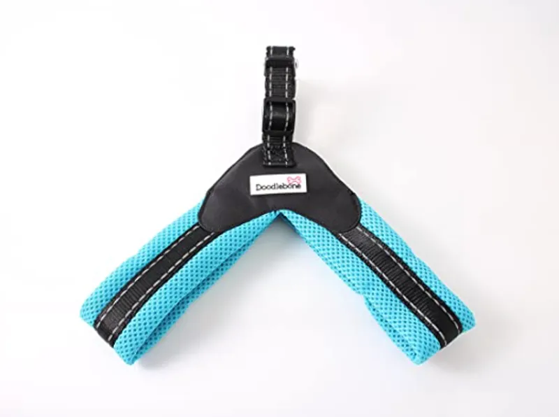 DB Boomerang Harness